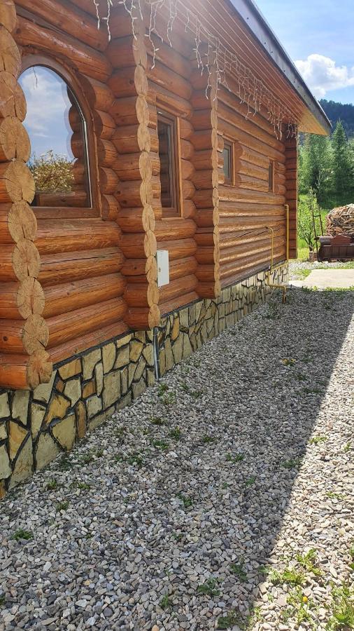 Cabana Alesia, Relaxare La Poalele Raraului Câmpulung Moldovenesc Eksteriør billede